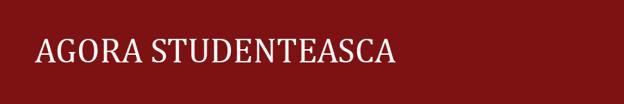 Vinaora Nivo Slider 3.x